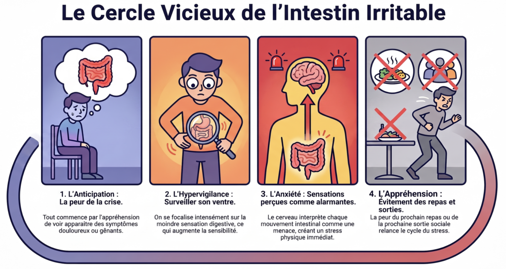 Intestin irritable stress et anxiété