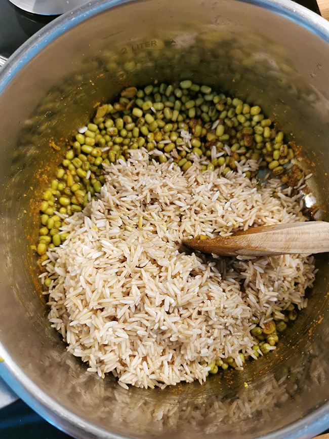 Ingredient lentilles recette kitchari