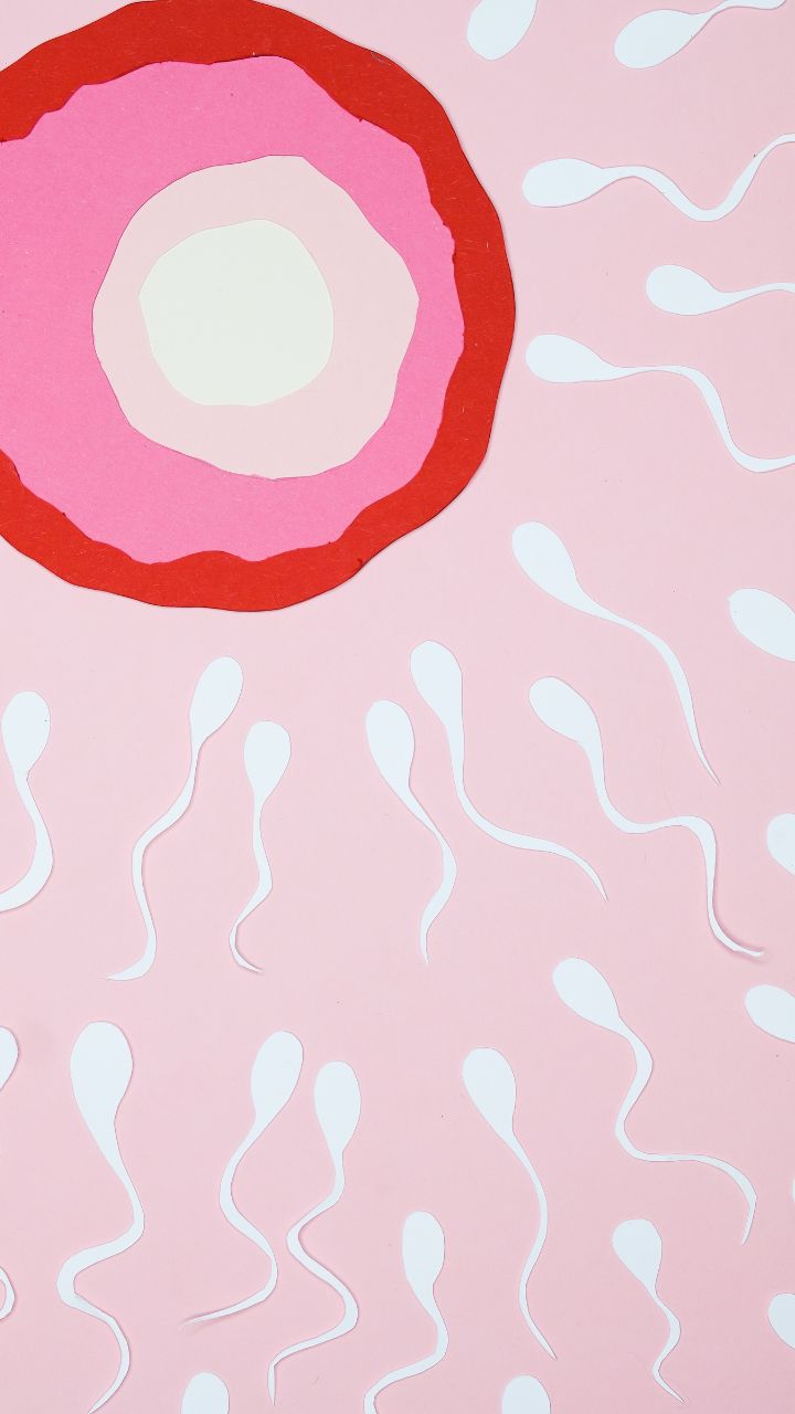 Naturopathie et fertilité