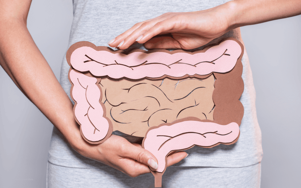 Soigner l’Intestin Irritable avec la Naturopathie